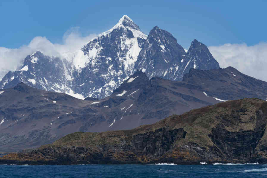 Islas Georgias del Sur 075.jpg